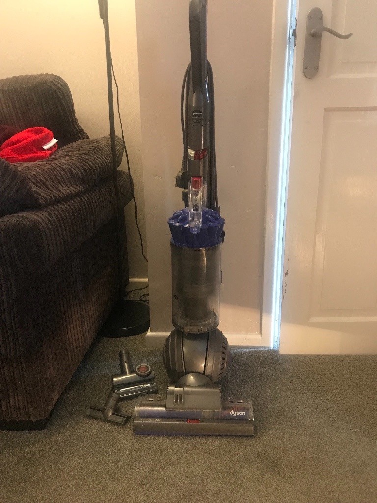 Dyson DC40 animal upright hoover in Bamber Bridge, Lancashire Gumtree