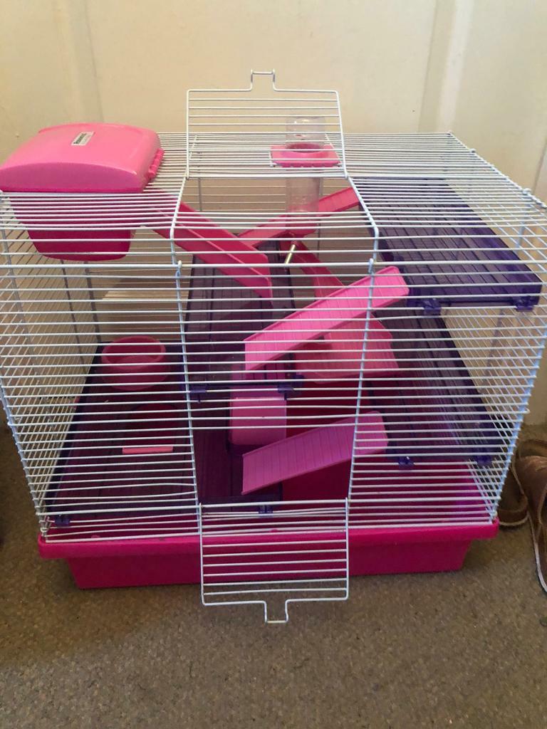 XL hamster cage in Radyr, Cardiff Gumtree