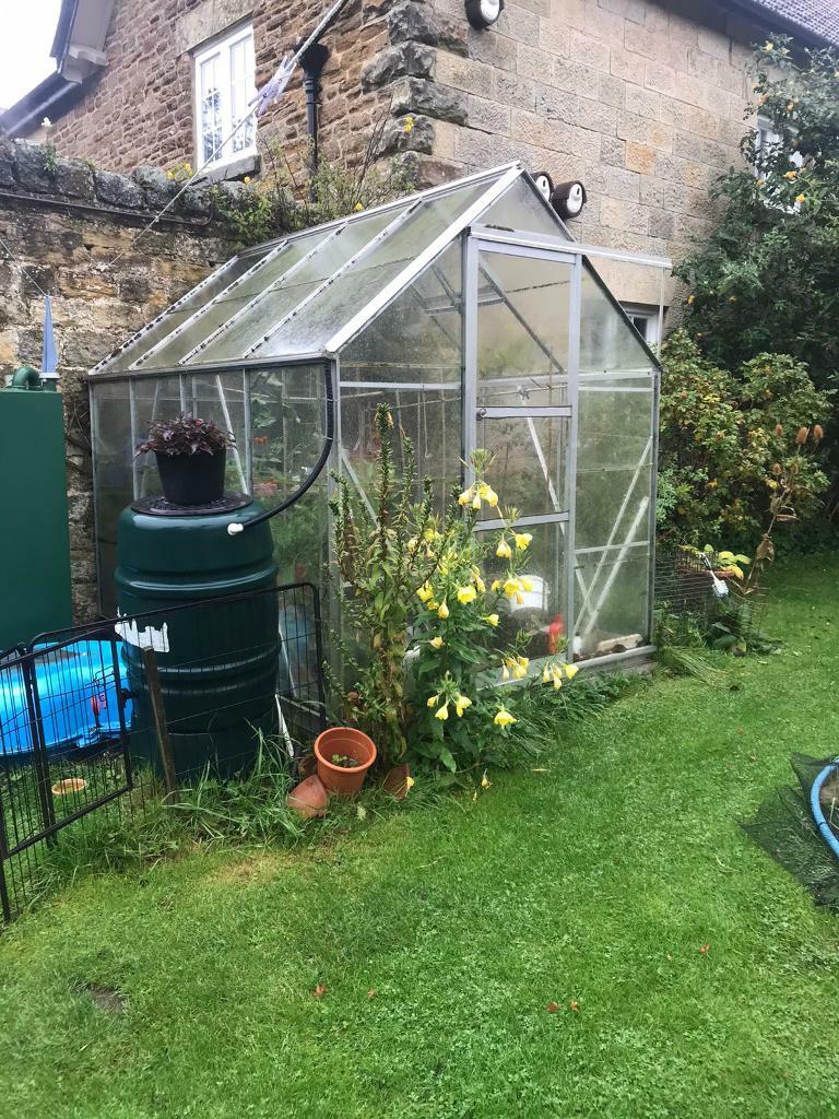Greenhouse in York, North Yorkshire Gumtree
