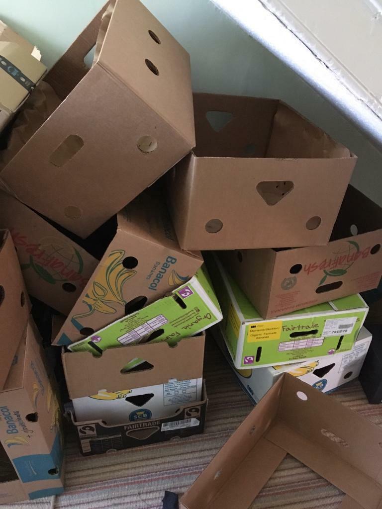 Banana boxes for moving in County Antrim Gumtree