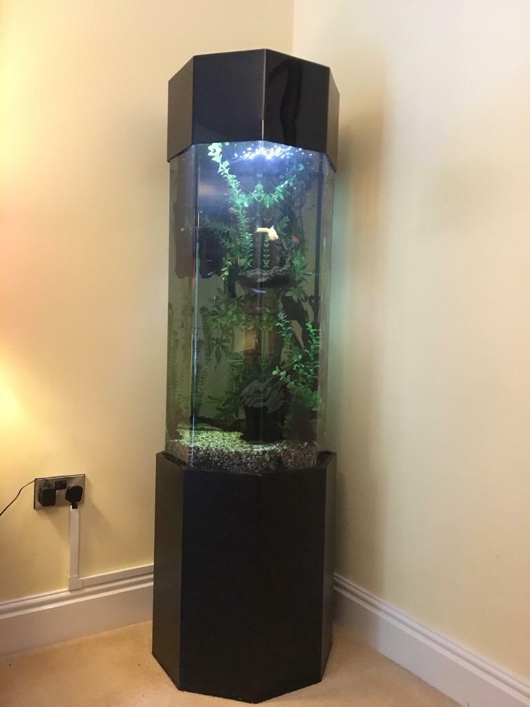 Octagonal fish tank in Halifax, West Yorkshire Gumtree