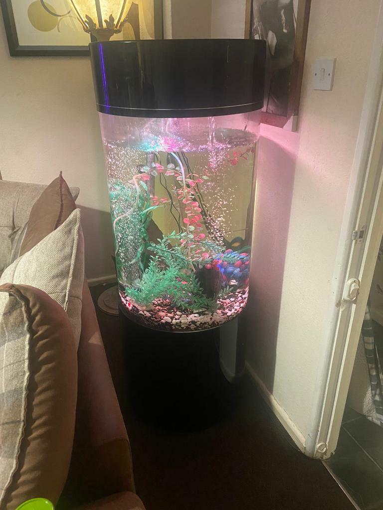 Tube fish tank in Evesham, Worcestershire Gumtree