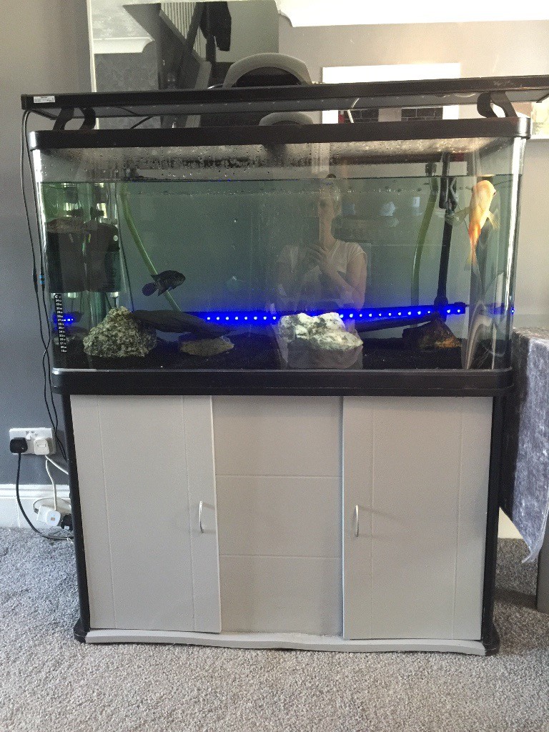 Customised 200 litre fish tank with LED overhead light and internal and external filter in