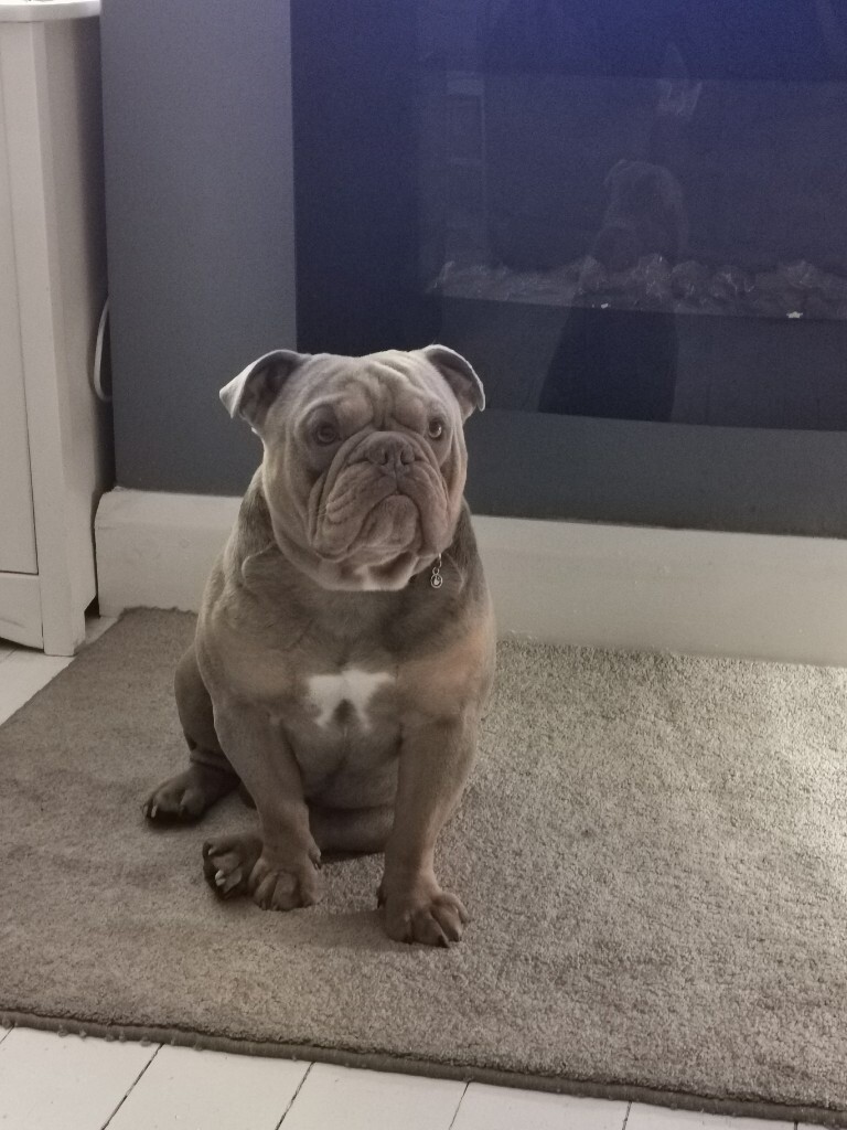 Tri by frances echin essay 02 picture