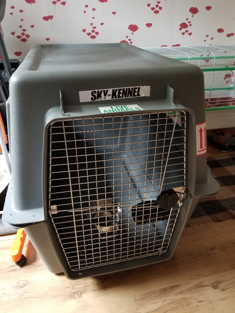 air travel dog kennel