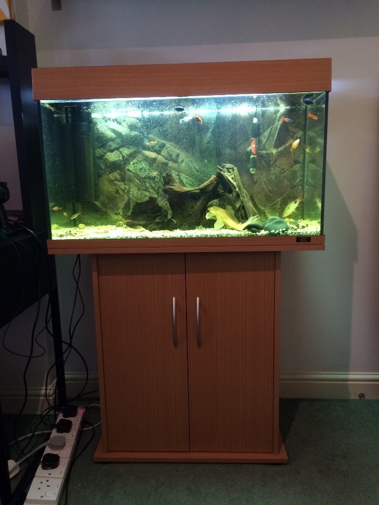 Juwel Rio 120l Fish tank Aquarium in Wickford, Essex Gumtree