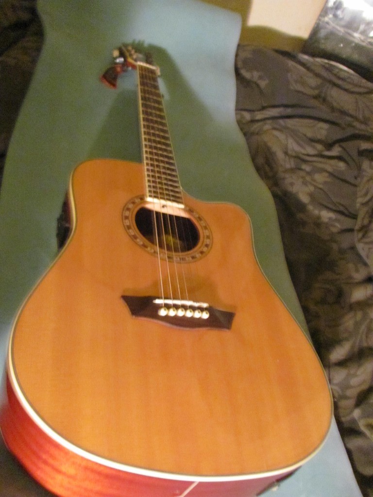 Washburn WD10SCE In Excellent Condition with Hard Case in Newington