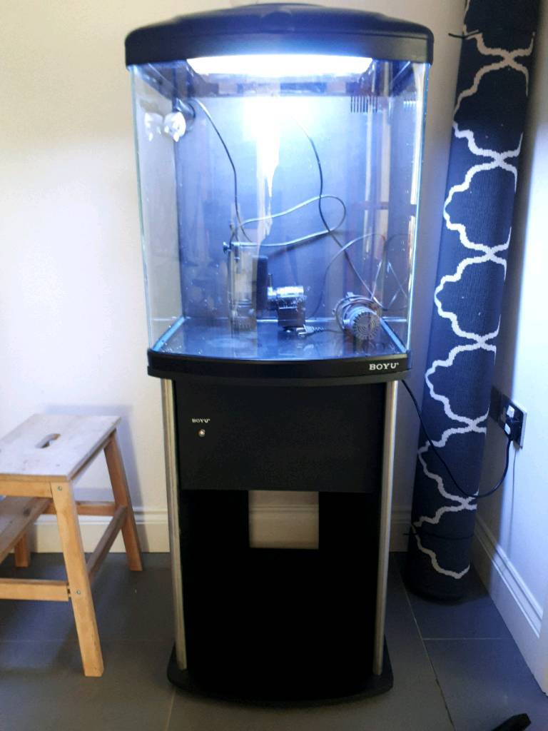 boyu TL550 125 liter fish tank in Downpatrick, County Down Gumtree