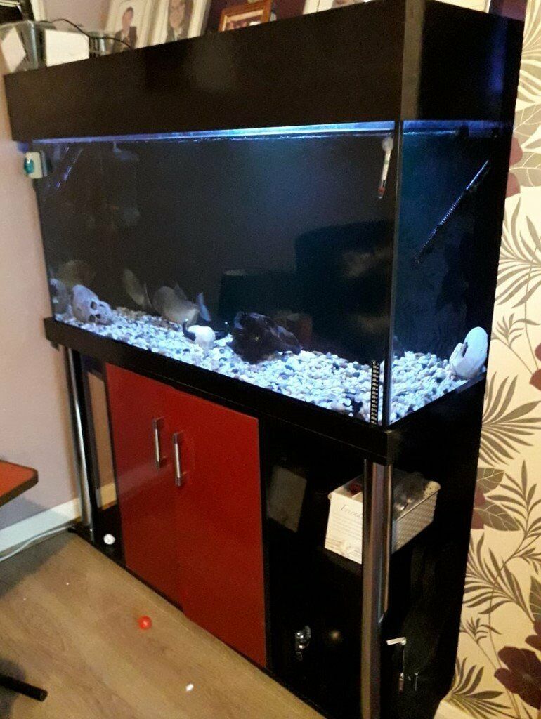  4ft  large Clearseal fish tank aquarium  and cabinet  stand 