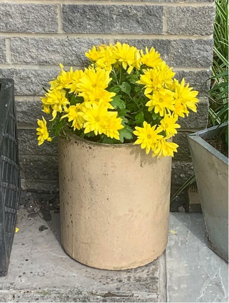 Reclaimed chimney liner ideal garden plant pot / planter