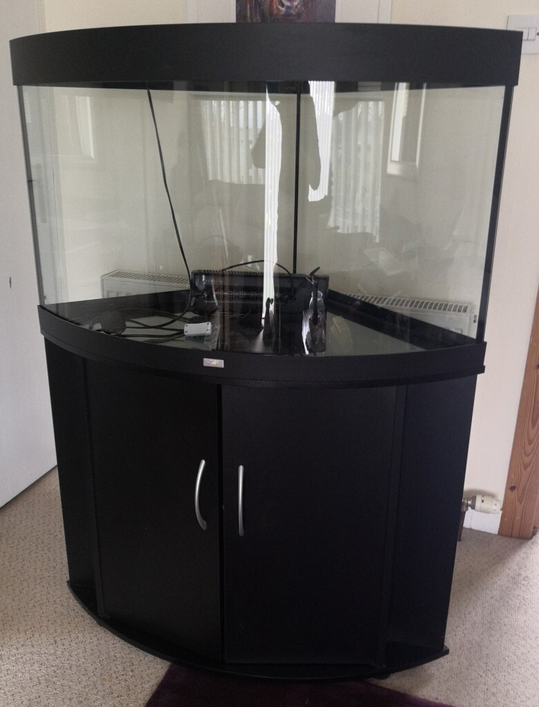 Trigon 190L black corner fish tank with stand in Inverness, Highland