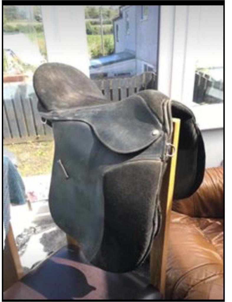16” treeless saddle in Falmouth, Cornwall Gumtree