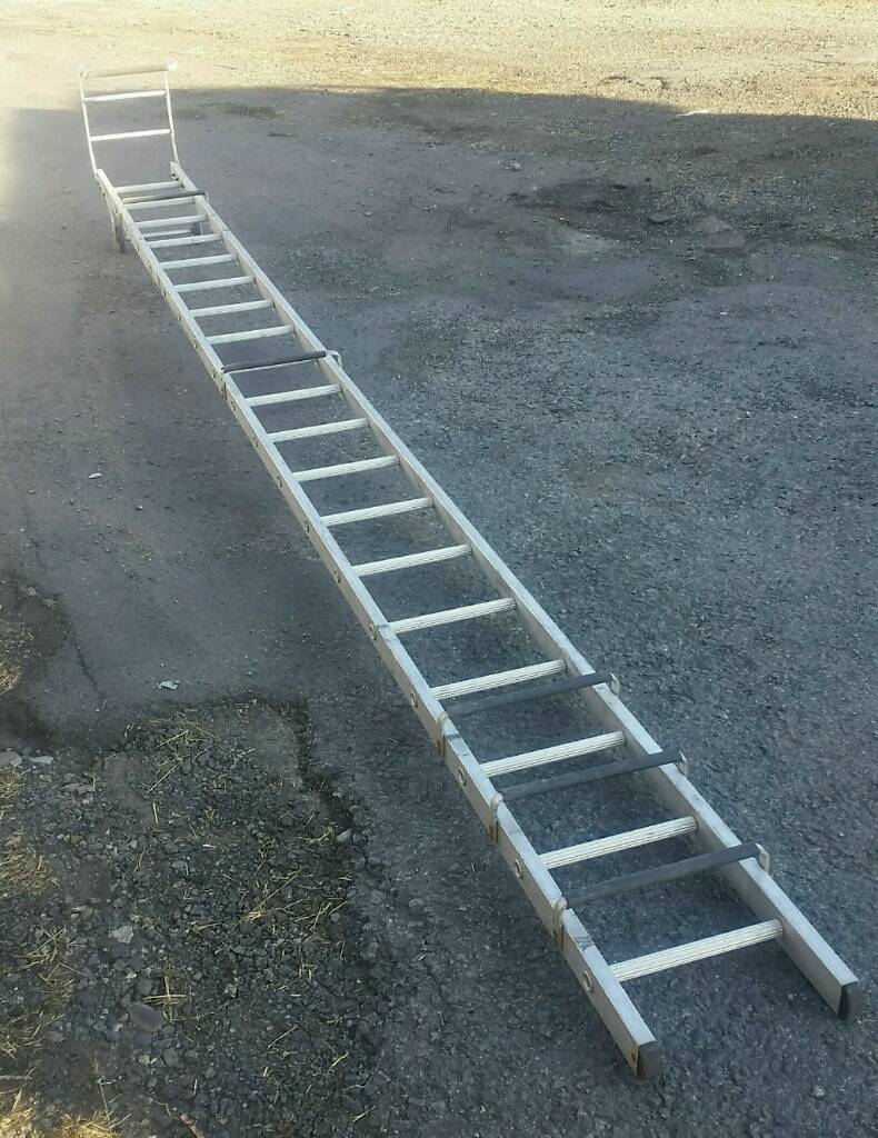 CAT LADDERS 5m in Bury, Manchester Gumtree