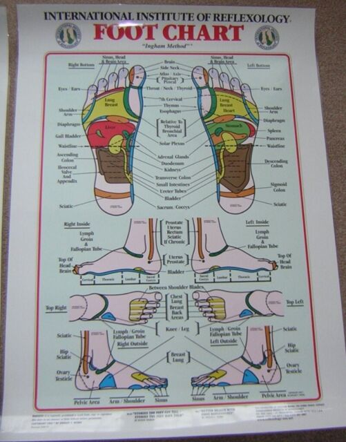 Reflexology Wall Chart Posters