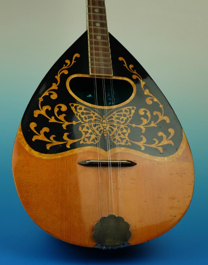EKO Five String Bouzouki in Norwich, Norfolk Gumtree