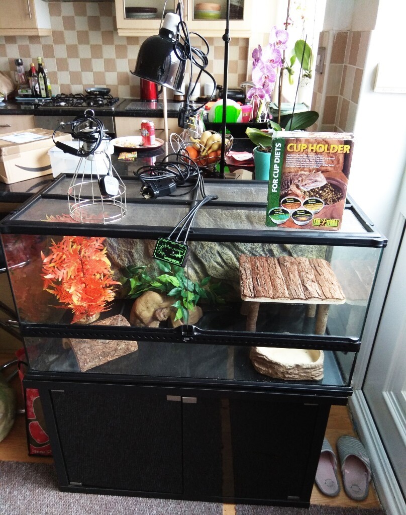 Exo Terra Terrarium Large Matttroy