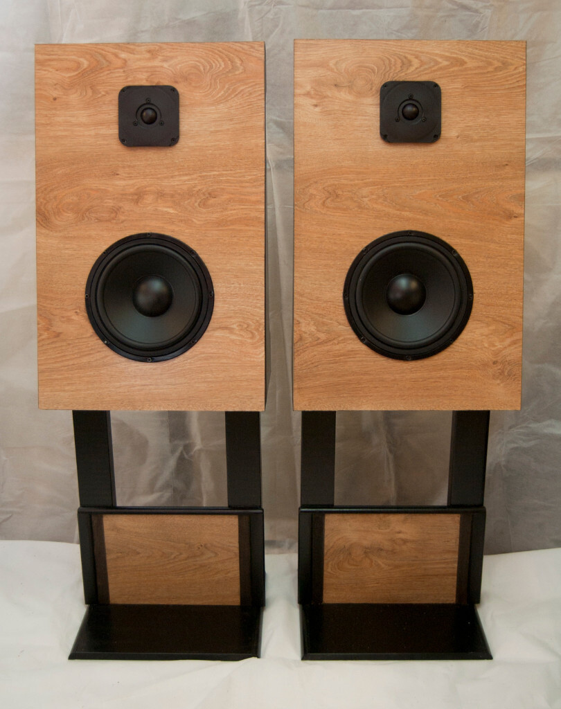 A unique pair of Rowan Audio Open Baffle studio monitors. in Great