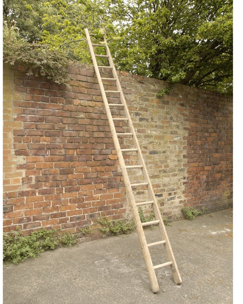 Wooden Ladder 12 ft 16 rungs. Stored inside | in South Shields, Tyne