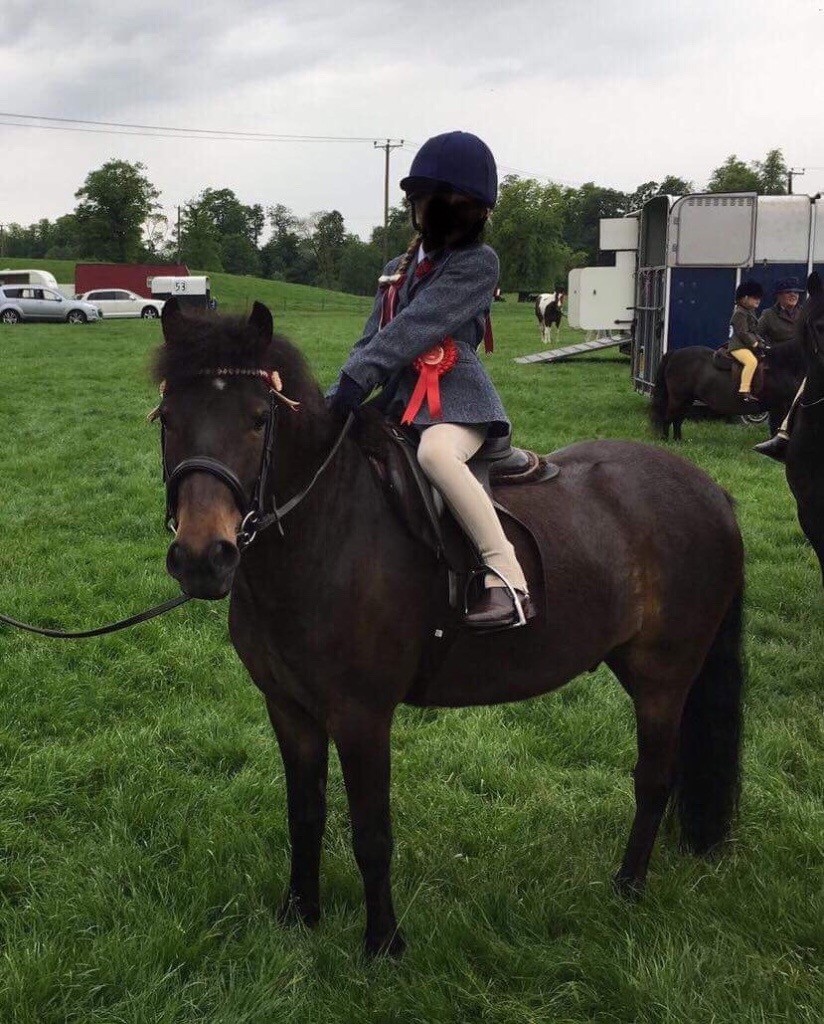 Friendly Lead Rein Pony For Sale in Stewarton, East Ayrshire Gumtree