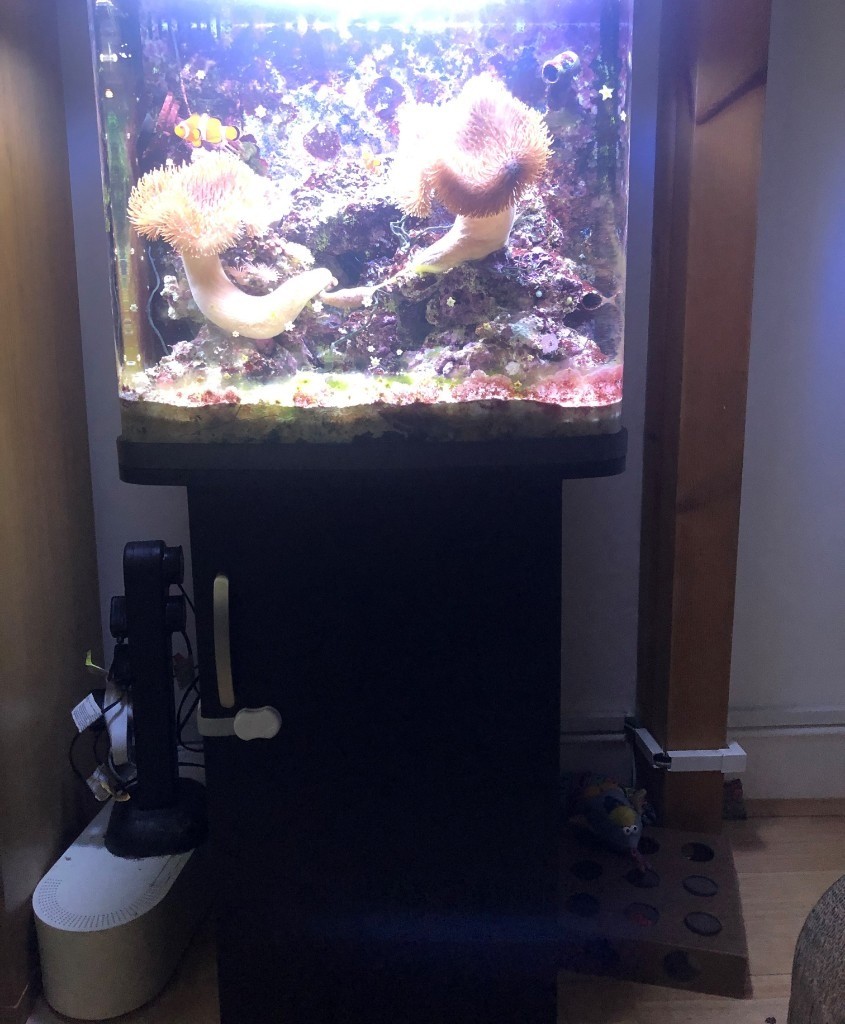 Kent Marine Bio Reef 94L Aquarium Kit with a and life stock