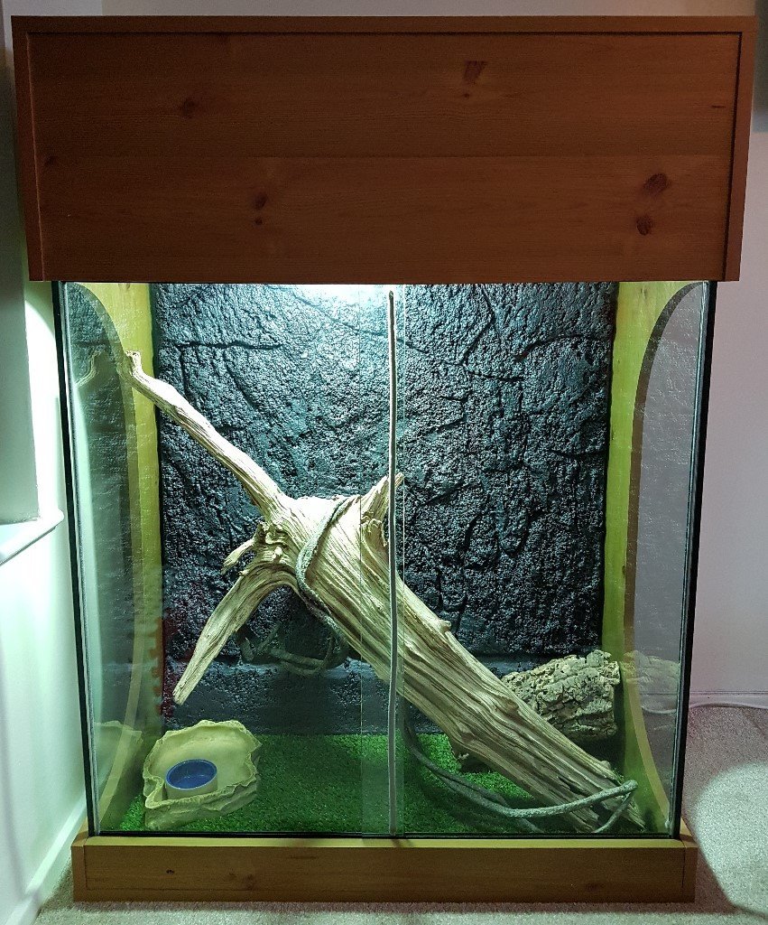 Large Custom Arboral Vivarium With Glass Side Walls 4ft x 3ft x 1.5ft