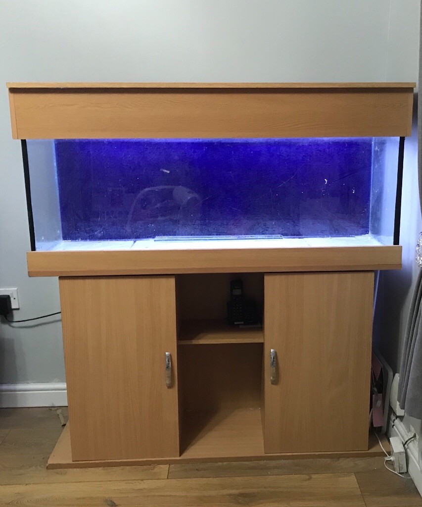 4ft Fish Tank in Gateshead, Tyne and Wear Gumtree
