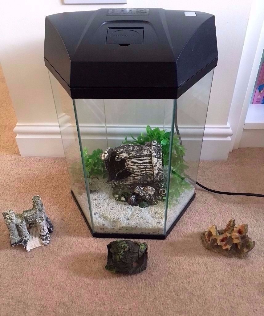 30 Litre Hexagonal Glass Fish Tank With Accessories in Bristol Gumtree