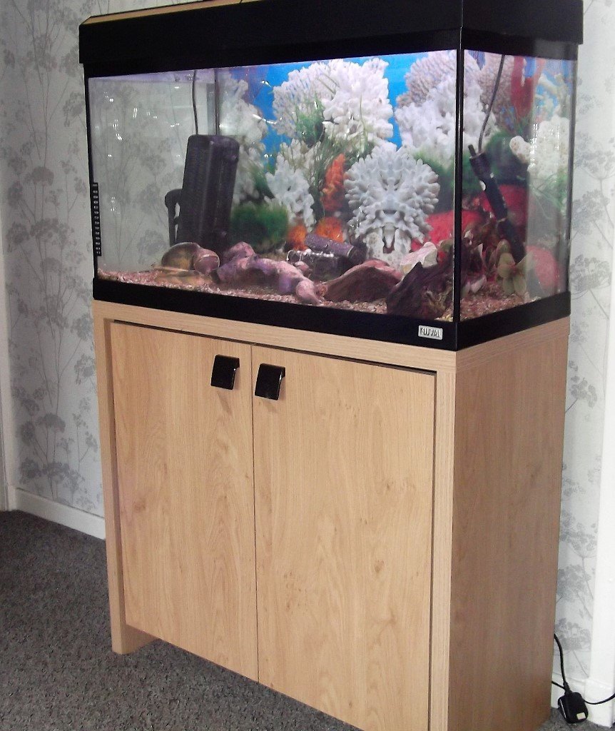 Fluval Roma 125 Aquarium Fish Tank And Cabinet For Sale In