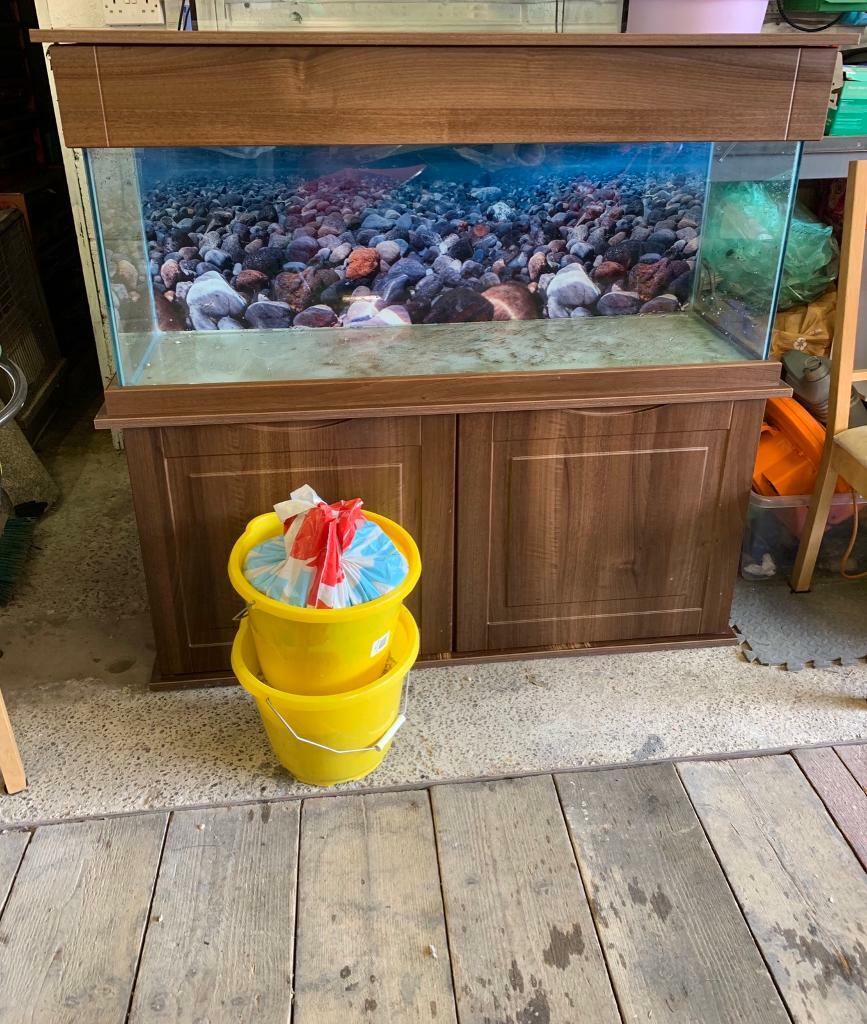 Lovely Fish tank for sale in Ely, Cardiff Gumtree