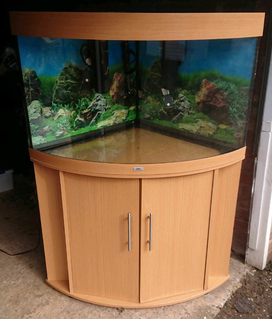 JUWEL TRIGON 190 BEECH FISH TANK / AQUARIUM in Norwich, Norfolk Gumtree