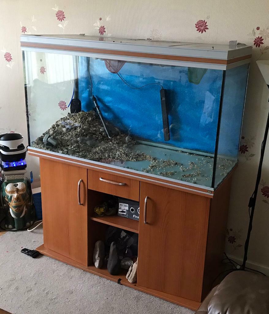 Rena fish tank 450ltr and fx5 + extras in Carluke, South Lanarkshire