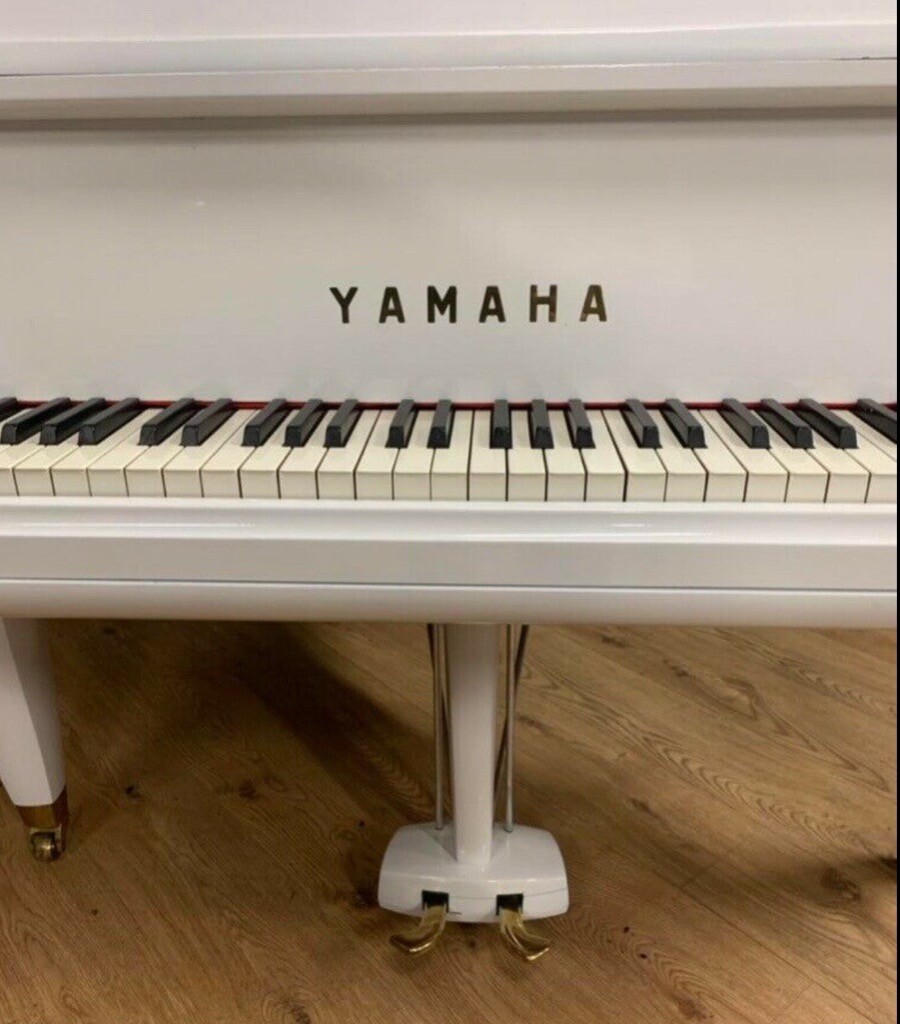 Yamaha No 20 6ft Grand Piano Belfast Pianos White Dunmurry Free Delivery In 