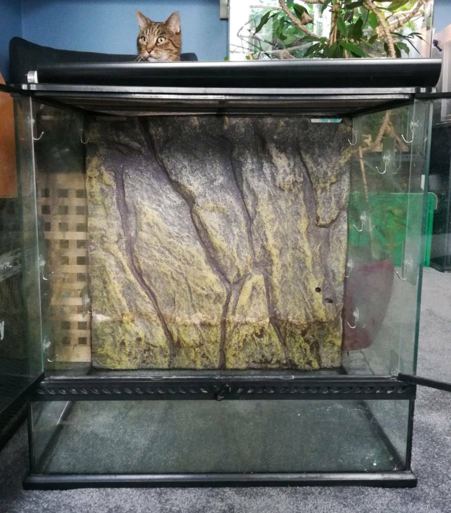 Exo Terra Terrarium 45cm Matttroy