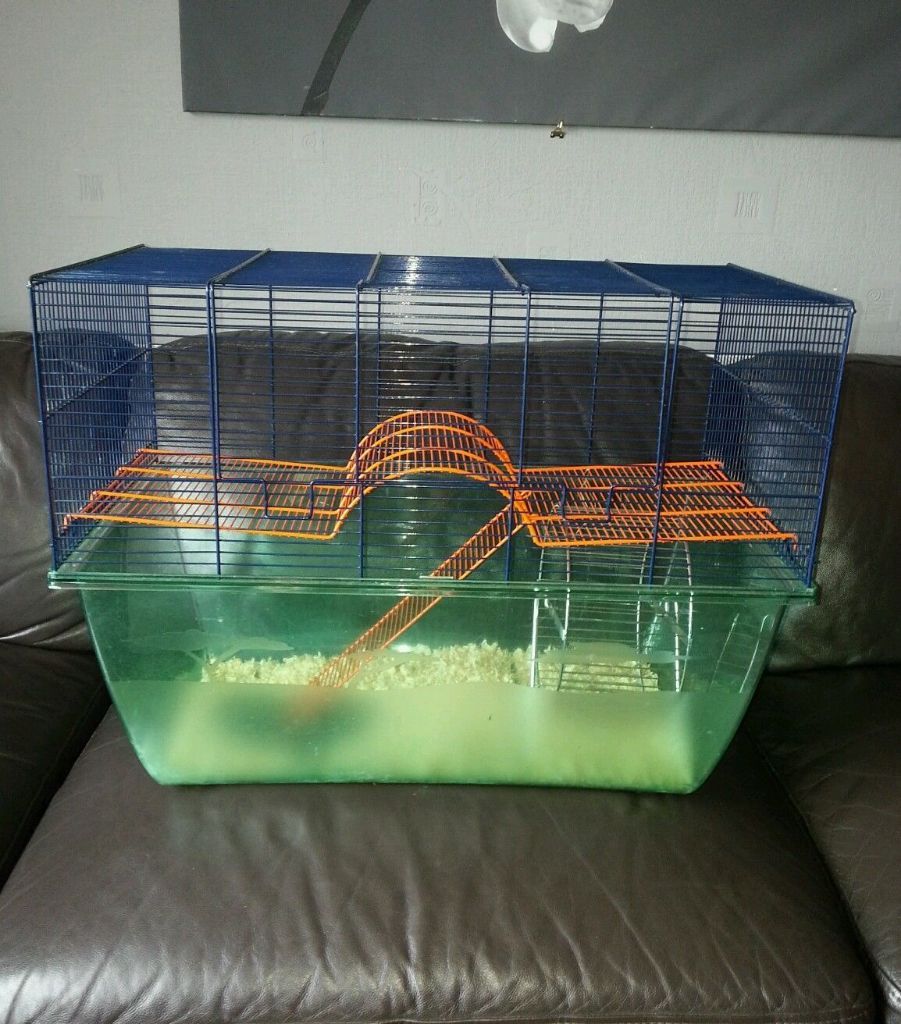 Gerbilarium, gerbil, hamster cage extra large, two levels. XL Habitat