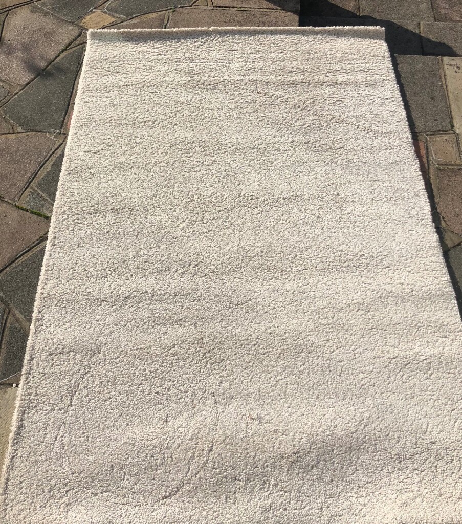 Cream Carpet in South West London, London Gumtree