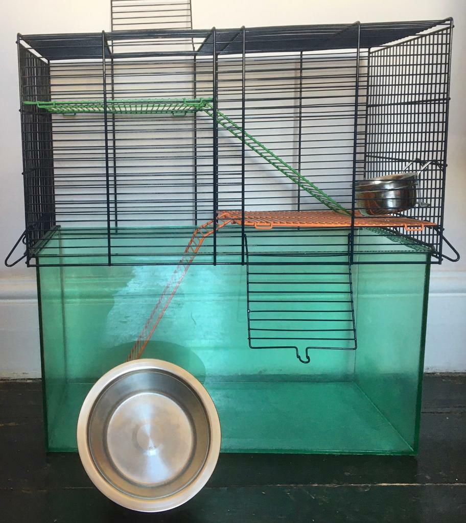 Gerbilarium/hamster cage in Pontcanna, Cardiff Gumtree