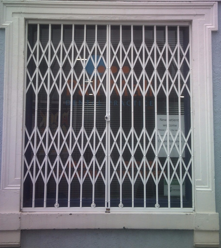 WINDOW & DOOR SECURITY GRILLES STEEL BARS ROLLER SHUTTERS GATES NORTH