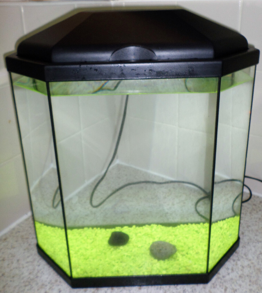 25 LITRE HEXAGON FISH TANK AQUARIUM in St Helens, Merseyside Gumtree