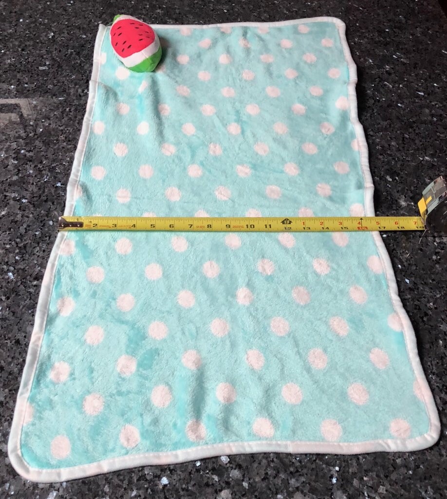 Mint Colored Fleece Puppy Comfort Security Blanket with Dog Toy