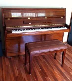 Steinbach piano for sale