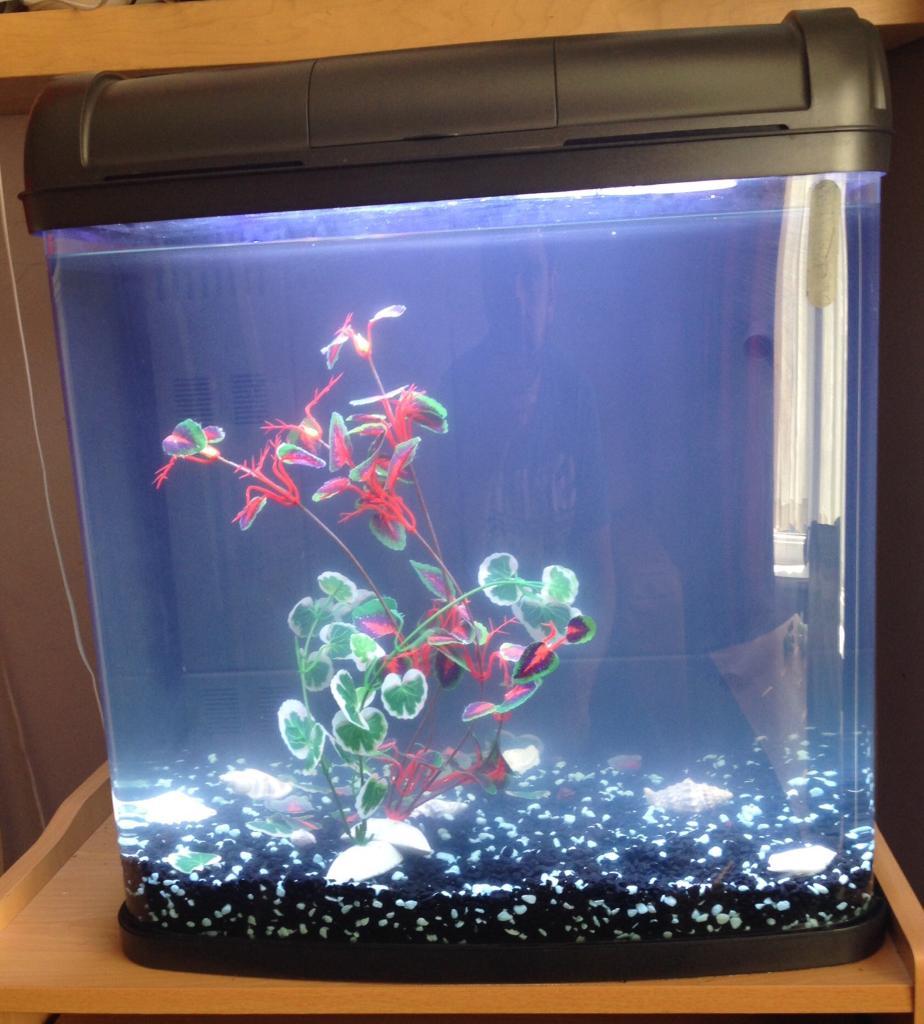 Kent Marine Bio Reef 94l Aquarium in Shipley, West Yorkshire Gumtree