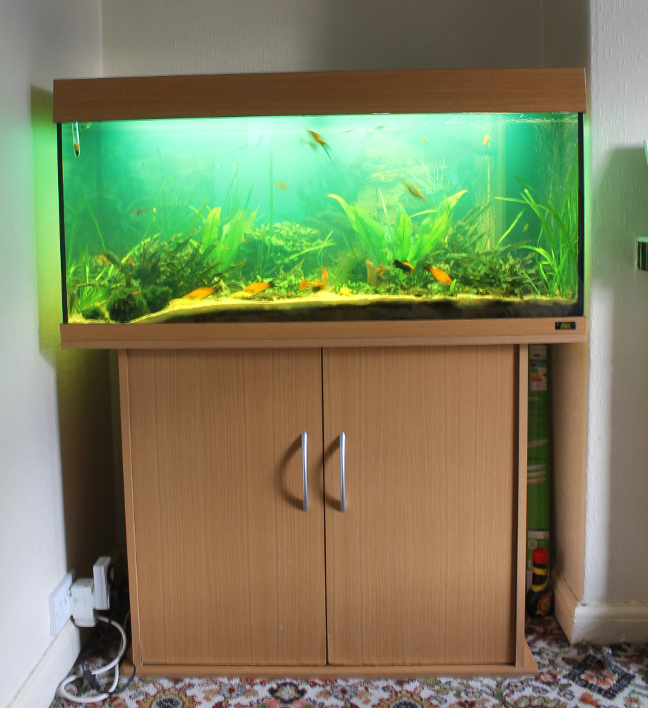 Juwel Rio 180 fish tank + Delivery in Lincoln, Lincolnshire Gumtree
