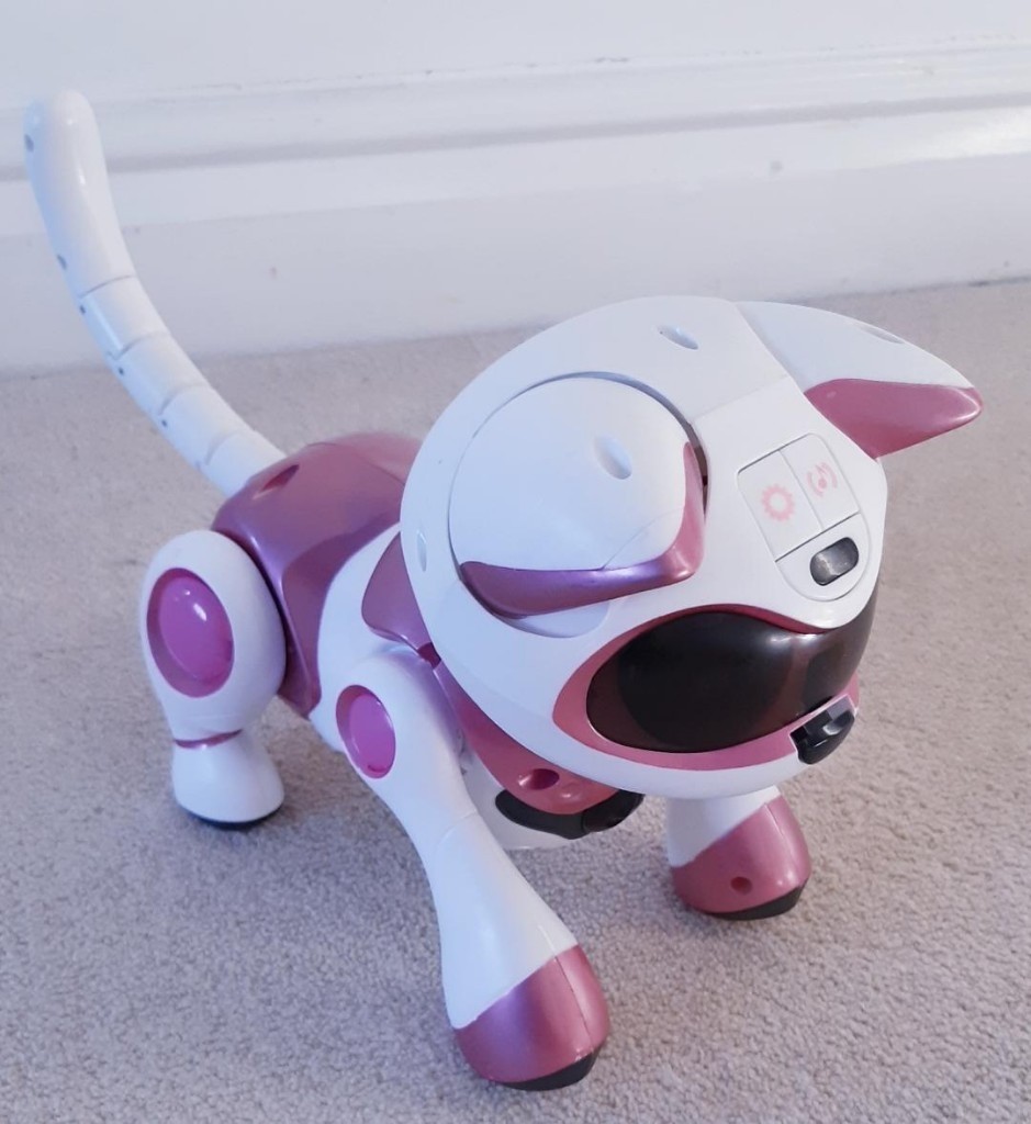 Robot Cat Toy | Cat's Blog