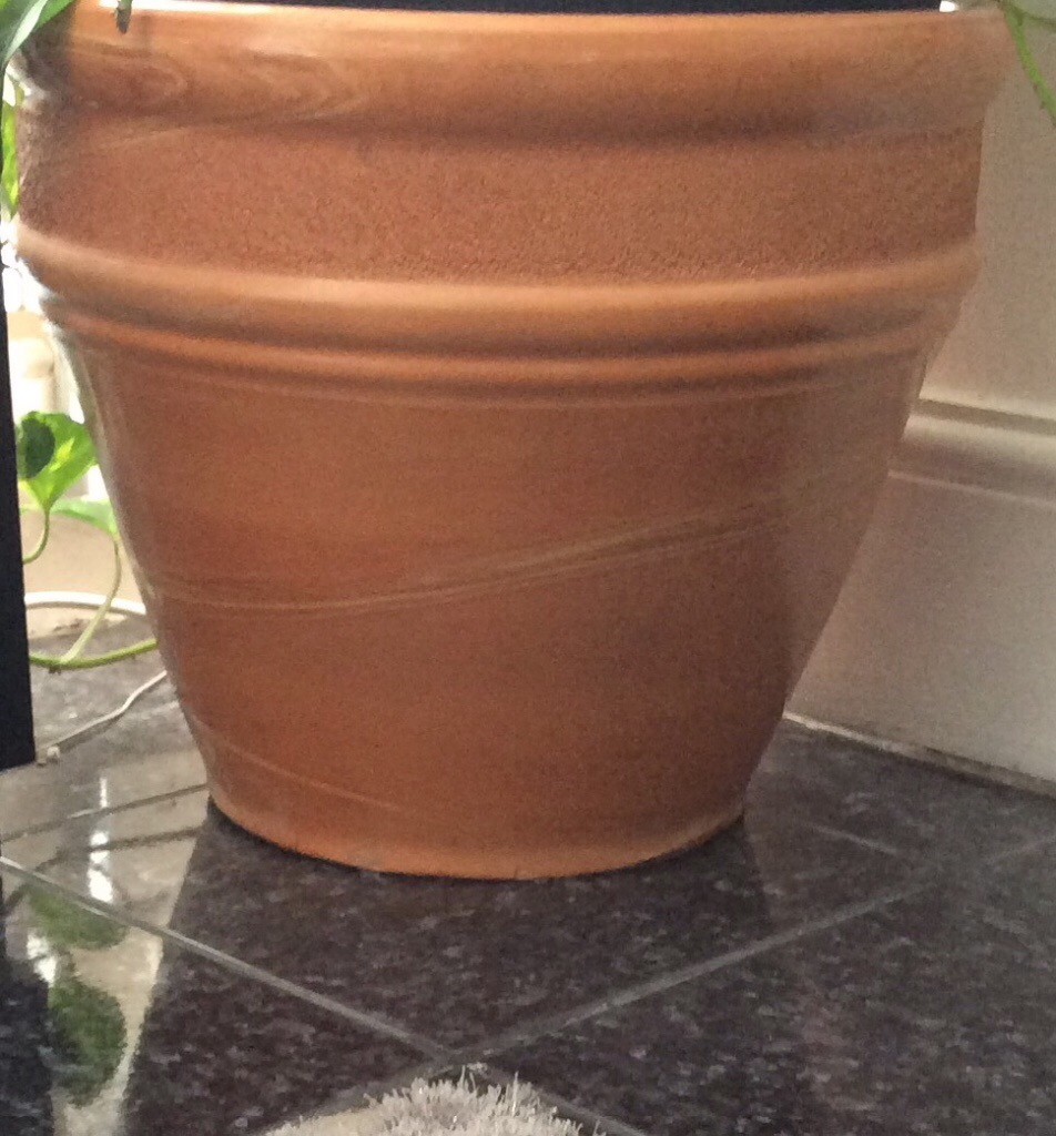 Large Terracotta Plant Pot in Stratford, London Gumtree
