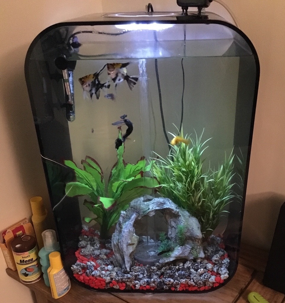 Black biOrb LIFE 60L Tropical Fish Tank + Accessories + Heater in Odiham, Hampshire Gumtree