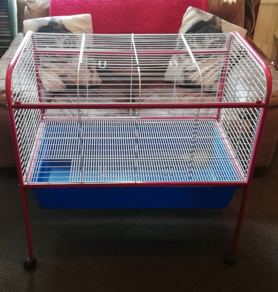 Rabbit/Guinea pig cage on stand in Washington, Tyne and Wear Gumtree