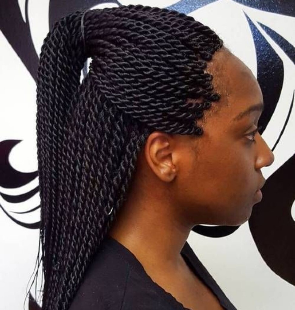 Braids Twists Crochetbraids Treebraids Passion Twists And Weave