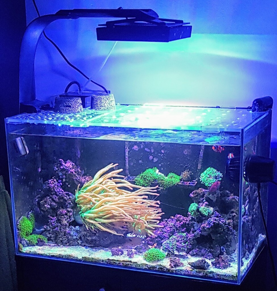 Fish tanks complete setups in Kingston, London Gumtree