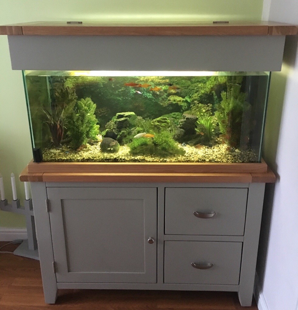 Grey & Oak Aquarium in Loughor, Swansea Gumtree