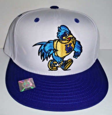 Delaware FIGHTN' BLUE HENS NCAA Hat / Cap New SnapBack Flat Brim Eclipse